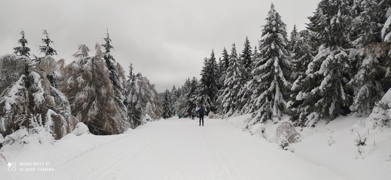Na Malej Lägenhet Szklarska Poręba Exteriör bild